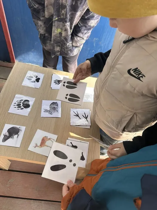 День Эколят (2)